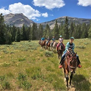 Horseback Riding in Yellowstone National Park