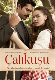 Çalikusu (2013)