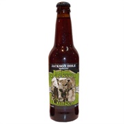 Jackson Hole Soda Co. Jackson Ginger