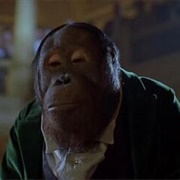 Thelonius - Babe, Pig in the City