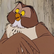 Owl