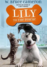 Lily to the Rescue (W. Bruce Cameron)