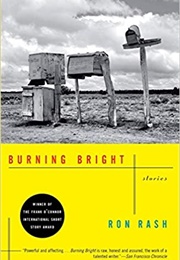 Into the Gorge (Ron Rash)