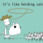 Herd Cats