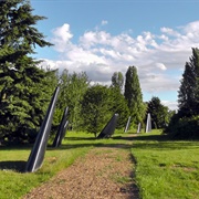 Magnuson Park Fin Art