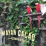 Mayan Cacao Company, Cozumel, Mexico