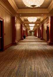 You Will Never Be Back (2020)