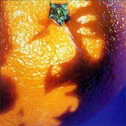 A Picture of Nectar (Phish, 1992)