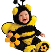 Baby Bee