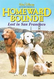 Homeward Bound II: Lost in San Fransisco (1996)