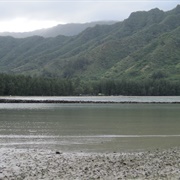 Huilua Fishpond