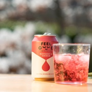 Feel Good Raspberry & Hibiscus