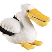 Pelican