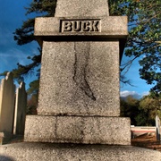 Colonel Buck's Cursed Tomb