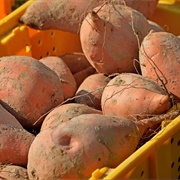 Ugly Sweet Potato