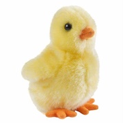 Baby Chick Toy