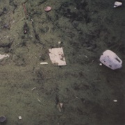 Kevin Drumm - Imperial Distortion