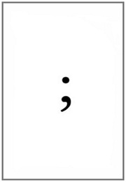 ; (Semicolon) (X.Q.)