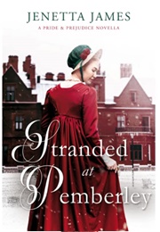 Stranded at Pemberley (Jenetta James)