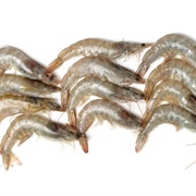 Gray Shrimp