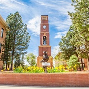 Southern Utah University