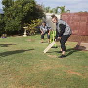 Play Backyard Cricket
