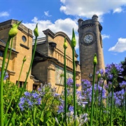 Horniman Museum and Gardens