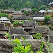 Jingmai Mountain, China