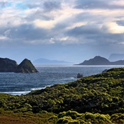 South Coast Track, Australia