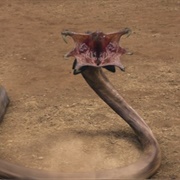 Graboids – Tremors