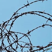 Blue Jeans and Barbed Wire Are Invented 1873