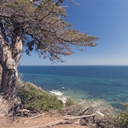 Douglas Family Preserve