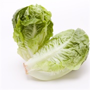 Gem Lettuce
