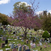 Hartsdale Pet Cemetery