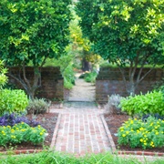 Longue Vue House & Gardens