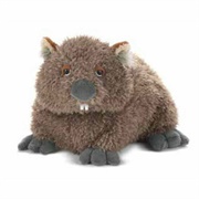 Wombat