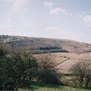 Watership Down, Hampshire