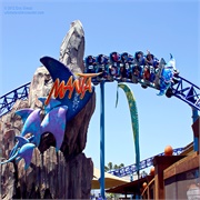Manta (Sea World, CA)