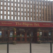 The Pilgrim Oak - Hucknall