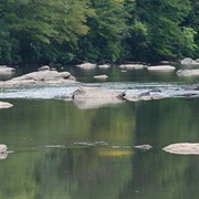 Mayo River State Park