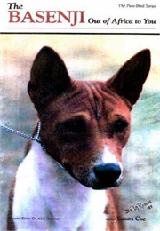 The Basenji: Out of Africa to You (Susan Coe, Mark Anderson)