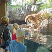 John Ball Zoo, Grand Rapids