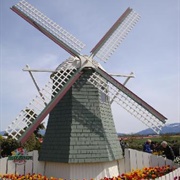 Mount Vernon, Washington