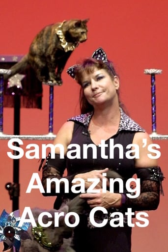 Samantha's Amazing Acro Cats (2017)