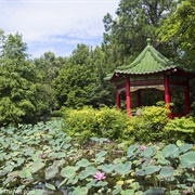 Taipei Botanical Garden