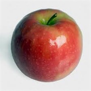 Nodhead Apple