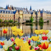 The Hague, Netherlands