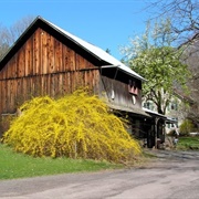Ol' Country Barn - Benton, PA
