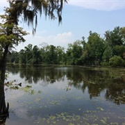 Jean Lafitte National Historical Park & Preserve