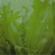 Say Goodbye Good - Promise Ring